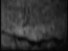 6728 Wziernikowanie_4 720 576 10