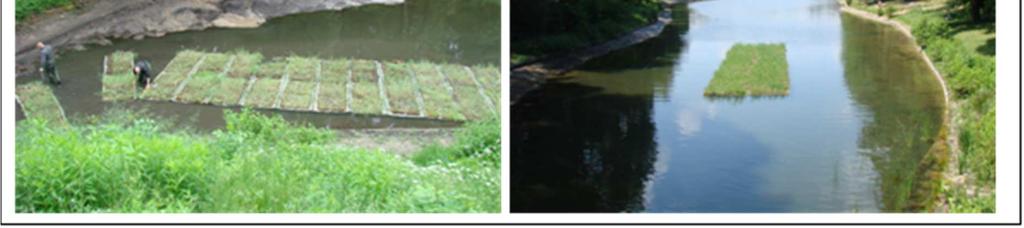 deszczowych (w czaszy zbiornika) skonstruowano podwodny system sedymentacyjnobiofiltracyjny.