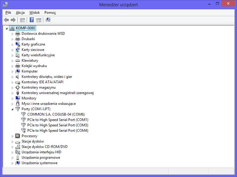 Po instalacji sterowników do interfejsu optycznego COGUSB-04, system operacyjny przydziela mu pierwszy wolny numer portu COM, co jest kwestią indywidualną danego systemu.