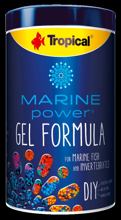 MARINE POWER GEL FORMULA pokarm dla ryb i bezkręgowców morskich pokarm w formie galaretki do samodzielnego przygotowania, ze skorupiakami i mięczakami morskimi oraz 5 gatunkami alg, przeznaczony dla