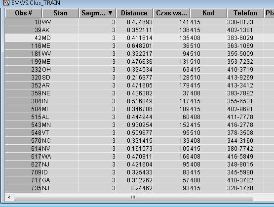 Exported data Do zbioru danych zostały dodane dwie zmienne: Segment.ID, Distance. W oknie danych EMWS.