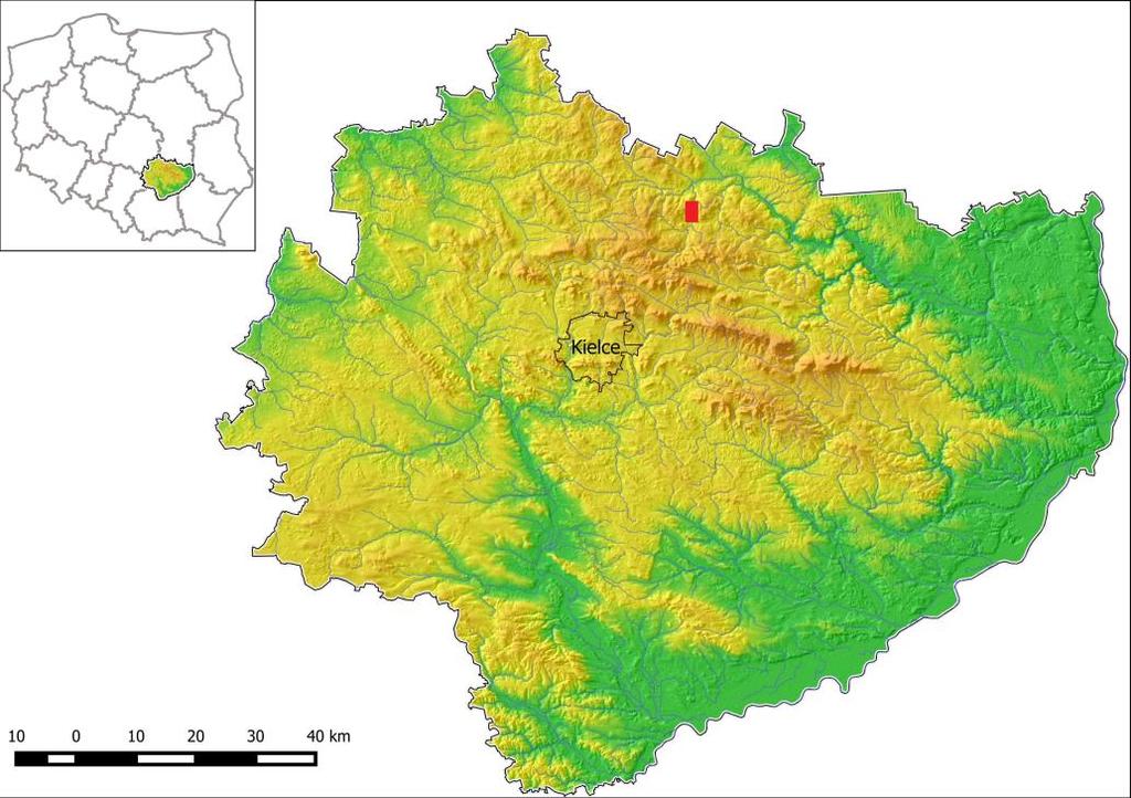 Budowa i wiek wyższej terasy Kamionki na odcinku Suchedniów Rejów gionie świętokrzyskim jest słabe, zarówno jeśli chodzi o strukturę i teksturę aluwiów, jak i wiek poszczególnych poziomów.