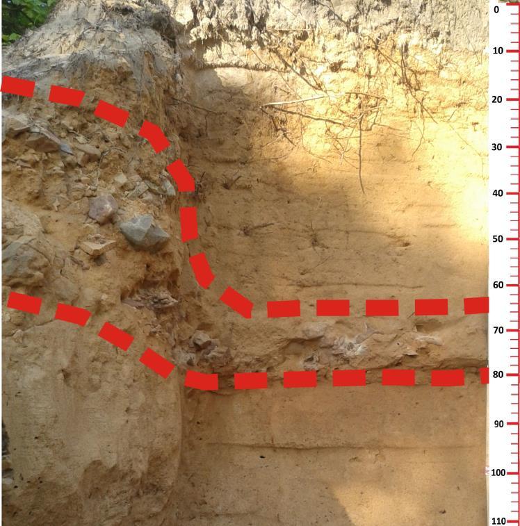Cross-bedded channel sediments in the lower part of the PK 1 profile Rys. 6.