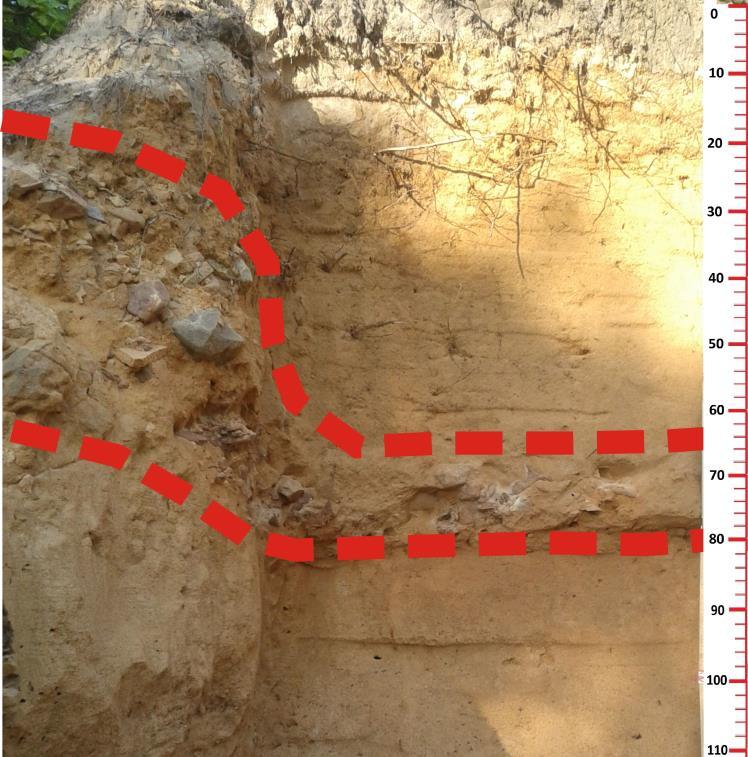 Cross-bedded channel sediments in the lower part of the PK 1 profile Rys. 6.