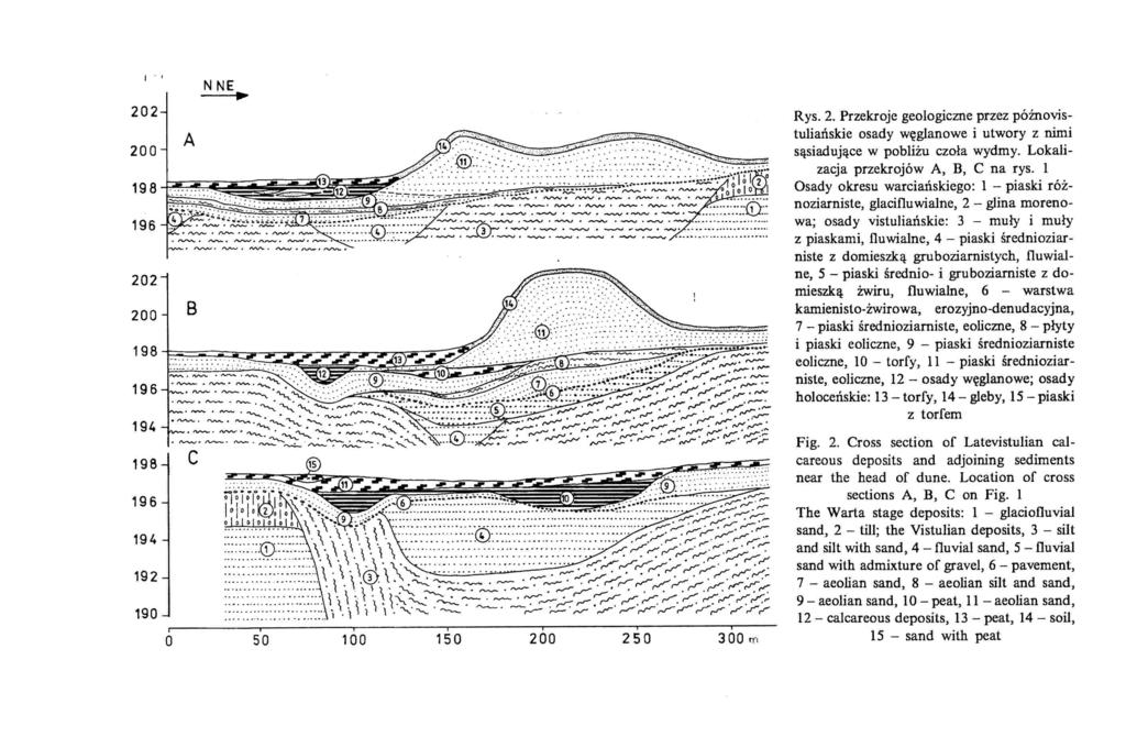 I", 202 200 198 196 202 A 200 B 198 196 194 198 196 194 192 190 I O N NE ~ "" 13 i 150 i 200 i 250 i 300 rn Rys. 2. Przekroje geologiczne przez późfiovistuliańskie osady węglanowe i utwory z nimi sąsiadujące w pobliżu czoła wydmy.