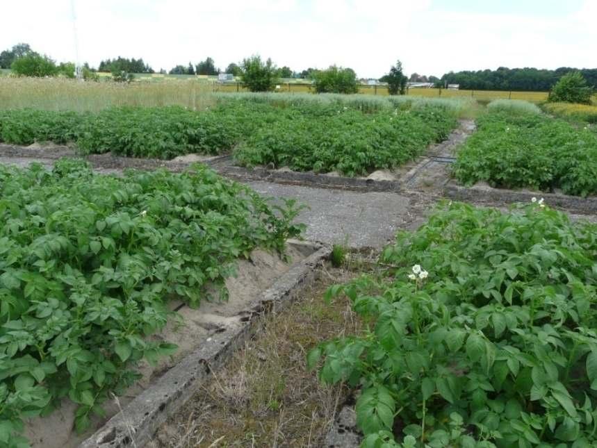 Ad. 6 Celem doświadczenia jest ocena wpływu składu granulometrycznego gleby, jej wilgotności i temperatury oraz