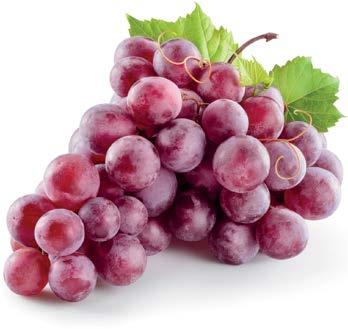 Preparaty ziołowe Ojca Grzegorza Sroki Winogrona mogą łagodzić objawy depresji Naukowcy z Icahn School of Medicineat Mount Sinai w Nowym Jorku odkryli, że pochodzące z winogron polifenole hamują