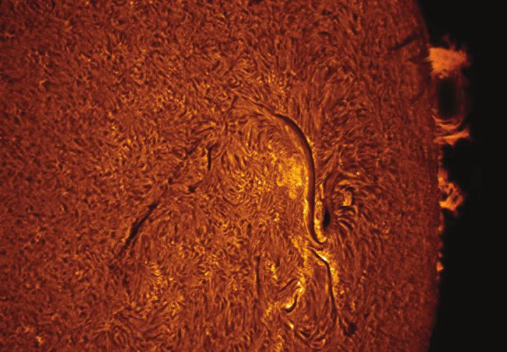 sze, z fizyki Słońca wiadomo, że plamy wykazują na powierzchni Słońca pewne drobne ruchy własne.