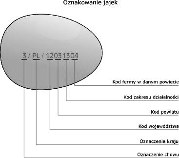 Zadanie 37. Ostatnie dwie cyfry w oznakowaniu jaja to kod A. fermy. B. powiatu. C. działalności. D. województwa. Zadanie 38. Pierwsza pomoc udzielona psu potrąconemu przez samochód polega na A.