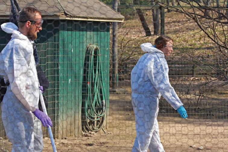 Ćwiczenia ze sposobów łapania różnych gatunków ptaków w ośrodku rehabilitacji w Heinola. Fot. WWF/ A.