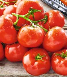 KUPONY Produkt Z REKLAMY TV Pomidory gałązka kraj