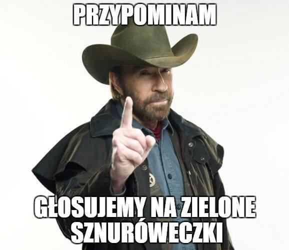 KILKA POMYSŁÓW I INSPIRACJI NA DZIAŁANIA DODATKOWE Stwórzcie zabawny GIF lub mem, w którym zaprosicie do głosowania lub przypomnicie o hashtagu #DecydujeszPomagamy Nagrajcie telefonem krótki wywiad z