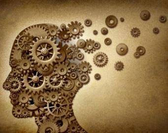 13. Wstęp do neurodydaktyki. Techniki i możliwości pamięciowe mózgu. Czas trwania: 1 spotkanie 5 godz.