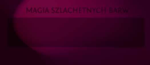 B ½A B A 1.13 LOGO Z DESKRYPTOREM CERAMIC Logo MAGNAT w zestawieniu z deskryptorem CERAMIC zawsze powinno wystepować w takiej samej formie i proporcjach.