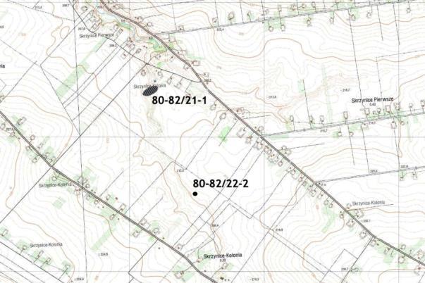 Obszar AZP 80-82 Kolonia Skrzynice: 21-1,