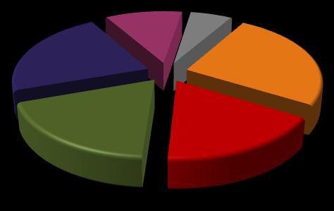 Czytelnicy według wieku w 2008 roku(w %) 11 6 do lat 15 22 26 16-19 lat 20-24 lata 25-44 lata 19 17