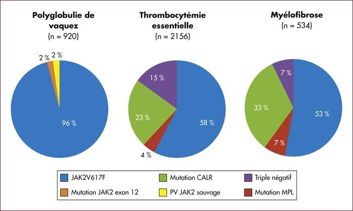 MPN Ph(-) etiologia Nadal nieznana Z różną częstością w różnych typach MPN Ph(-), występują mutacje JAK2V617F,