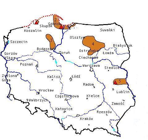 Swoistym bogactwem naturalnym, występującym w Polsce, jest bursztyn, zwany także jantarem.