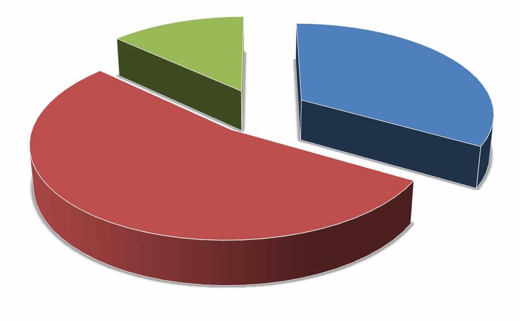 liczący od 50 miejsc wzwyż. Udział taboru o średniej pojemności tj. od 31 miejsc do 47 to zaledwie 26%. Tabor klasy mini stanowi tylko 13% wszystkich autobusów.