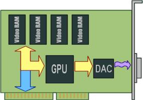 Akceleratory graficzne Pamięć karty służy do przechowywania bitmapy przygotowanej do wyświetlenia oraz jako pamięć operacyjna dla procesora GPU Graphics Processing Unit jednostka obliczeniowa