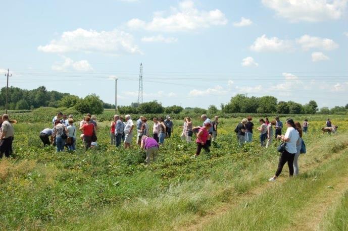 Operacje zrealizowane w województwie małopolskim - przykłady Małopolski Ośrodek Doradztwa Rolniczego w Karniowicach Wyjazd studyjny: Partnerstwo na rzecz produkcji ekologicznej szansa