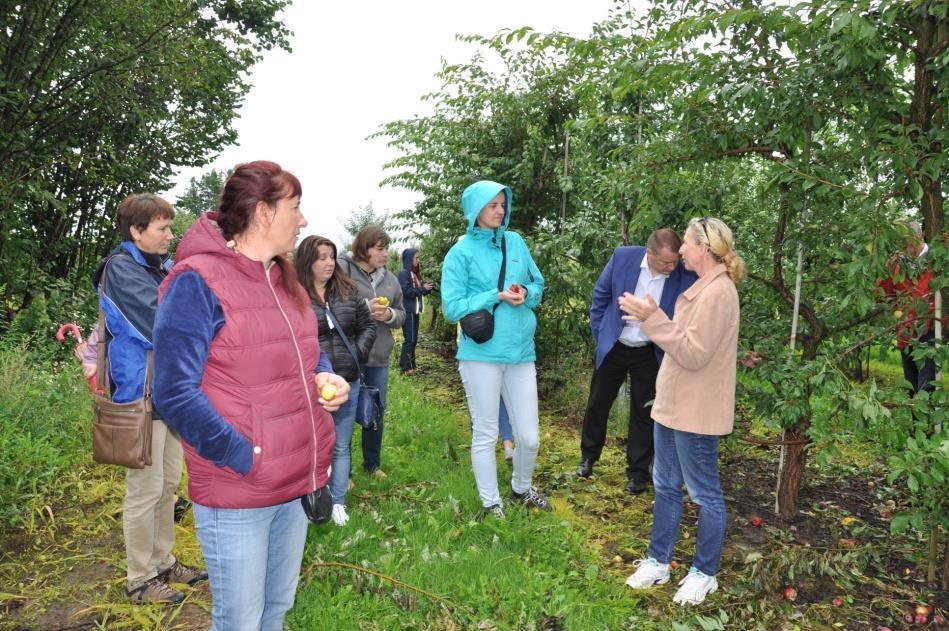 Operacje zrealizowane w województwie warmińsko-mazurskim - przykłady Warmińsko-Mazurski Ośrodek Doradztwa Rolniczego w Olsztynie Seminarium