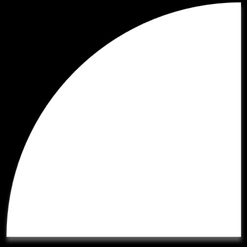 algorytmu (w
