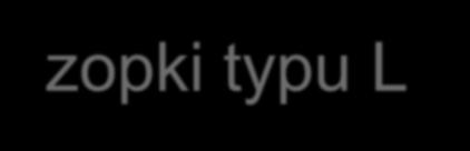 Wyróżnia się trzy typy czopków, z których każdy ma inną charakterystykę widmową, czyli reaguje na światło z innego zakresu długości fali.