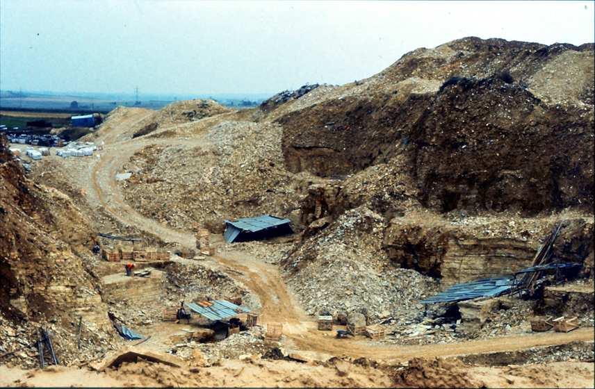 SOLNHOFEN analogia Ediacara wapienie kokkolitowe z matami