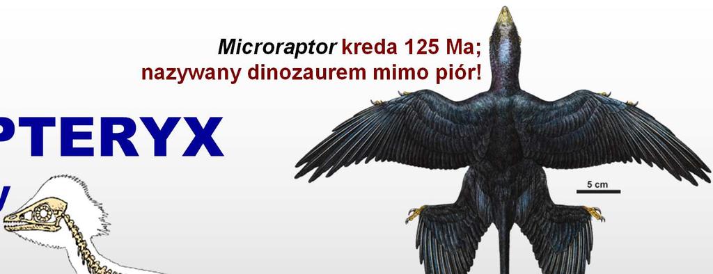 dinozaurem mimo piór! Hu et al.