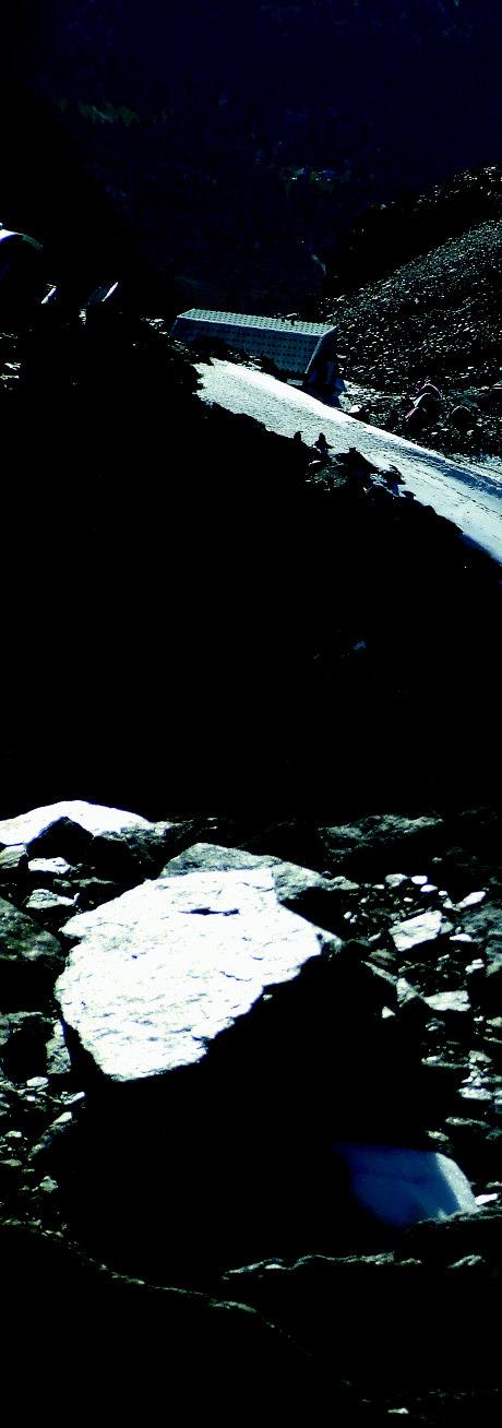 alpy Rzecz jasna dla dobrze przygotowanego i zaaklimatyzowanego alpinisty, Mont Blanc mo e byæ celem szybkiego wejœcia.