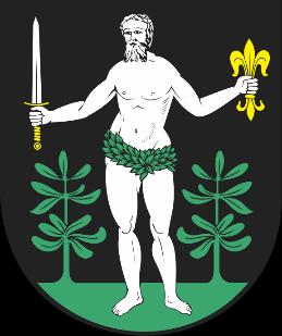 eu Krzysztof Hećman Burmistrz