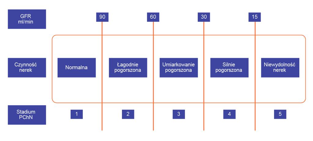 Na czym polega przewlekła choroba nerek Przewlekłą chorobę nerek (PChN) definiuje się jako uszkodzenie nerek lub jako obniżenie wartości filtracji kłebuszkowej (GFR) poniżej 60