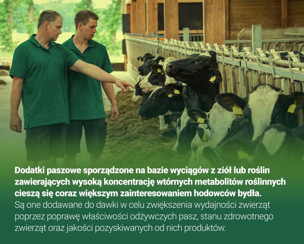 Właściwości chemiczne ziół są uwarunkowane zawartością substancji biologicznie czynnych, wśród których wyróżniamy: alkaloidy, saponiny, glikozydy, flawonoidy, garbniki, olejki eteryczne, kwasy