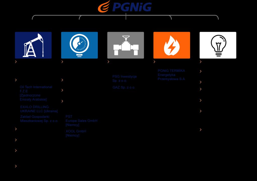 2.2. Spółki Grupy Kapitałowej PGNiG GRUPA KAPITAŁOWA PGNiG Na dzień 31 grudnia 2017 r. konsolidowane były spółki: PGNiG jako podmiot dominujący oraz 24 jednostki zależne. Rys.