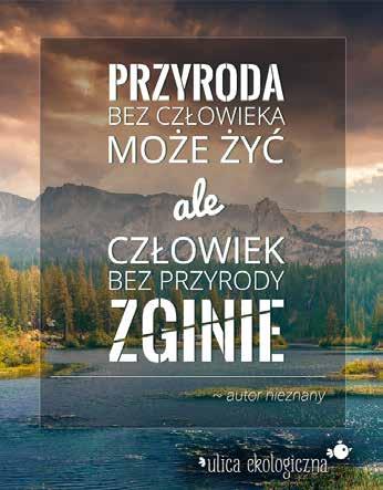 Niestandardowe formy reklamy Dzięki przyjaznemu i intuicyjnemu layoutowi istnieje możliwość stworzenia dedykowanych zakładek, serii