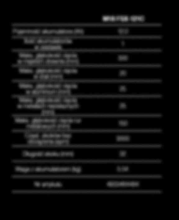 akumulatory REDLITHIUM-ION High Output 2.