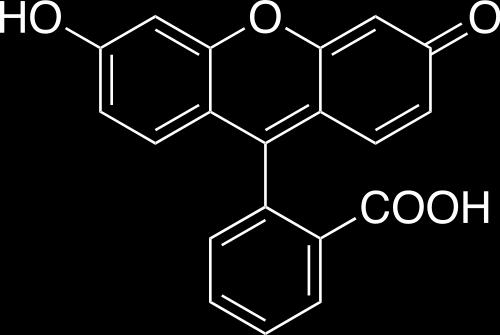 Fluoresceina Syntetyczny związek organiczny, ciemnopomarańczowy lub czerwony proszek, rozpuszczalny w wodzie i alkoholu.