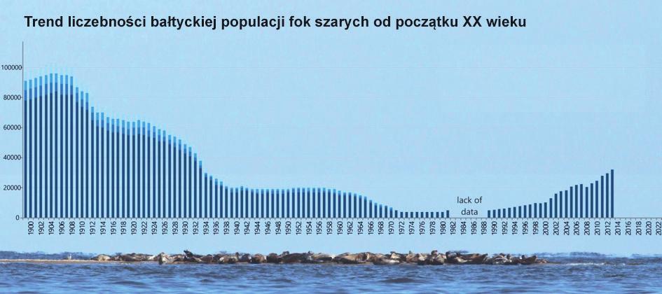 Foki Foki to najważniejsze drapieżniki Bałtyku i Morza Północnego; jako takie, wykazują szczególną wrażliwość na wszelkie zmiany zachodzące na niższych poziomach troficznych, fluktuacje klimatyczne i