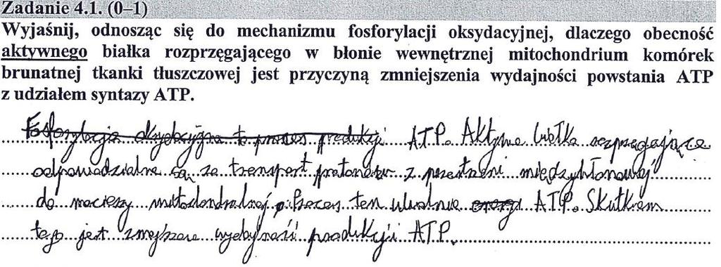 Biologia 29 fosforanowe. Przemiany energetyczne w komórce zachodzą także w czasie reakcji oksydacyjno- -redukcyjnych (redoks) stanowiących zasadniczą część oddychania komórkowego i fotosyntezy.