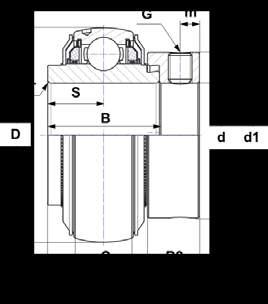 DOSTĘPNE PRODUKTY EX AGR dokręcane przy pomocy mimośrodowego pierścienia mocującego (1 kierunek obrotu) 1) szersze niż w wersji standardowej d D C B B1 S d1 m B2 G r Cr C0 Masa (kg) Nośność (kn)