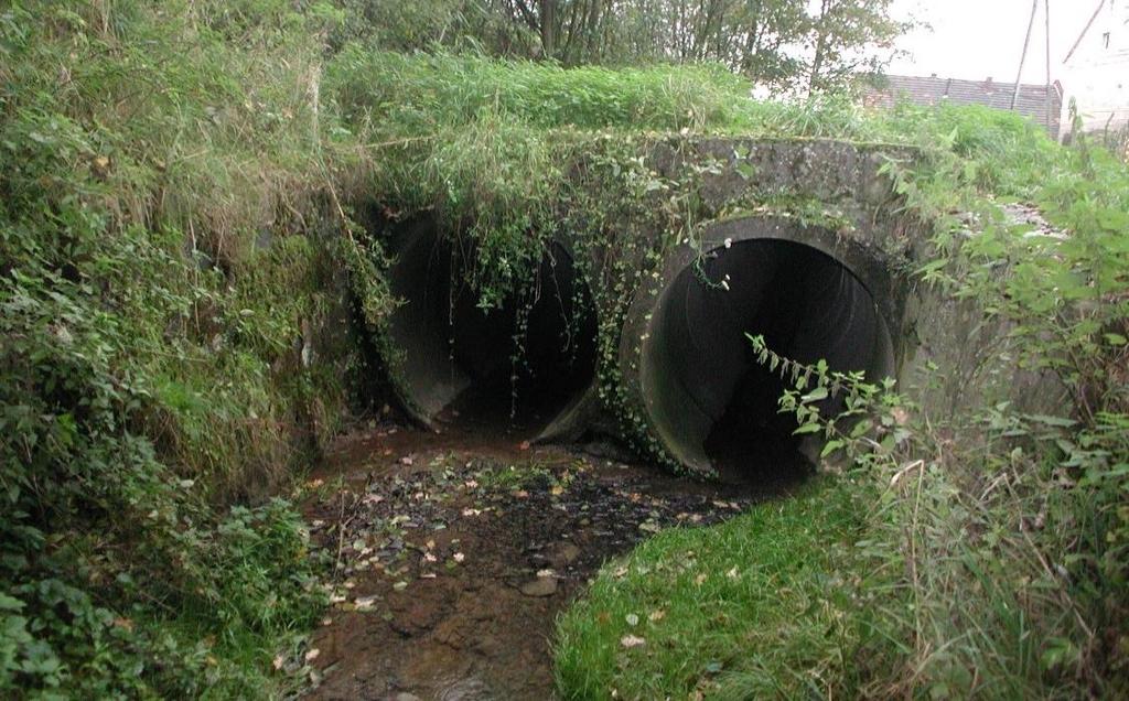 Miejscowo: korozja biologiczna, raki betonu,