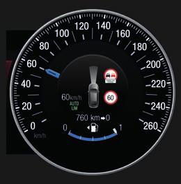 sterowanie na kierownicy, mapy Europy z widokiem 3D, menu tekstowe i komunikaty głosowe nawigacji w języku polskim Active Park Assist -system wspomagający wykonanie manewrów parkowania równoległego i