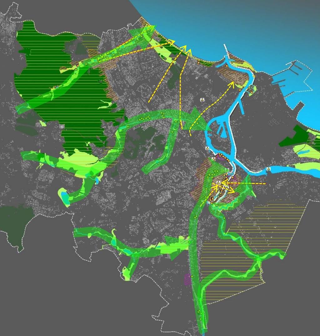 IDEA ZIELONYCH KLINÓW Il. 21. Schemat zielonych klinów towarzyszących ważniejszym ciekom wodnym w mieście.