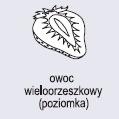 B. Podaj jedną cechę budowy liścia będącą przystosowaniem do życia w środowisku ubogim w wodę. Uzasadnij swój wybór.