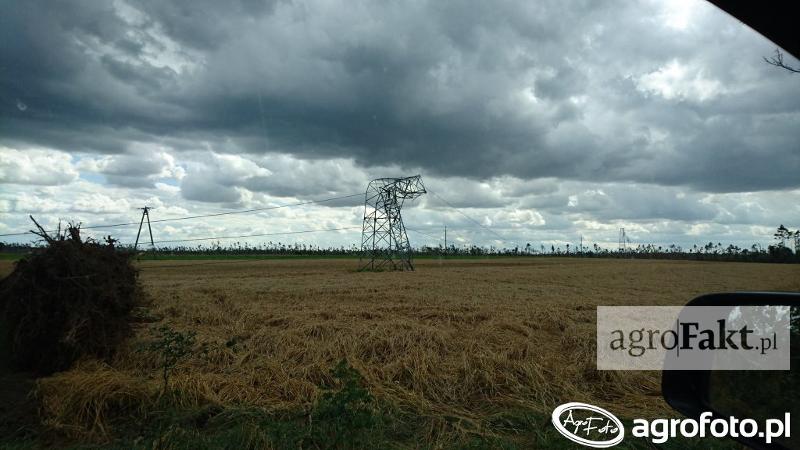 Efekty nawałnicy (źródło: Agrofoto; użytkownik: rosolinnio). Umorzenie składek KRUS?