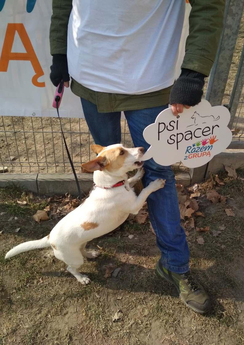 Nazwa Projektu: Psi spacer razem z Grupą Miejskie Schronisko dla Bezdomnych Zwierząt w Opolu Weronika Bidiak-Sawicka, pracownik AL