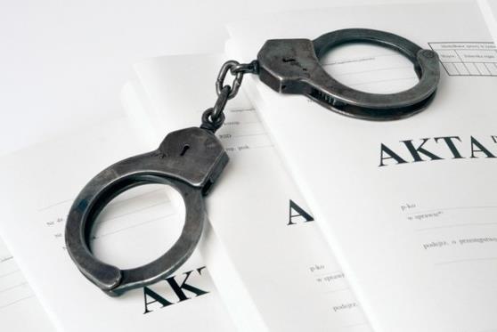 wewnętrznych Przygotowano: 20 sprawozdań z bieżącej działalności dla Prezydenta Miasta 10 analiz