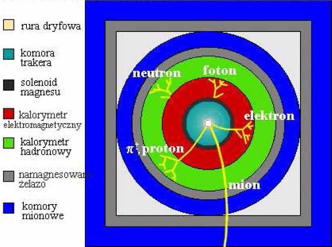 mniejsze niż hadronowe bo: