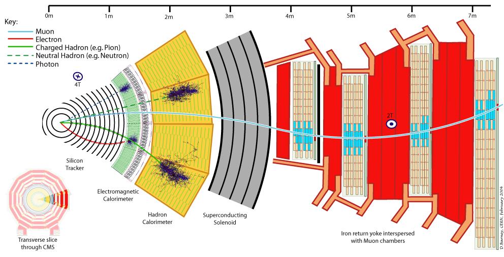 CMS (Compact Muon Solenoid)